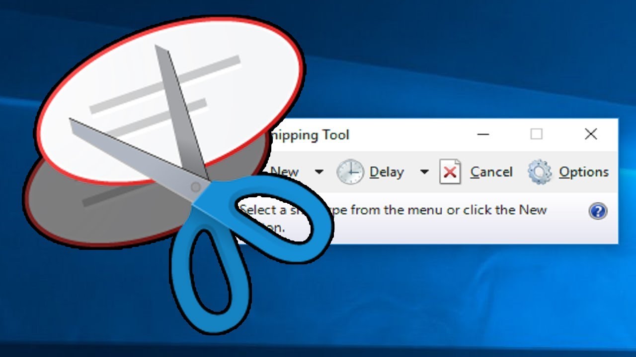 Screenshot Software for Report Writing
